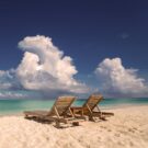 leannebP904GP Avatar