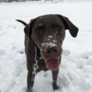 chrissC8200NM Avatar