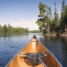 Bart Bellaire Avatar